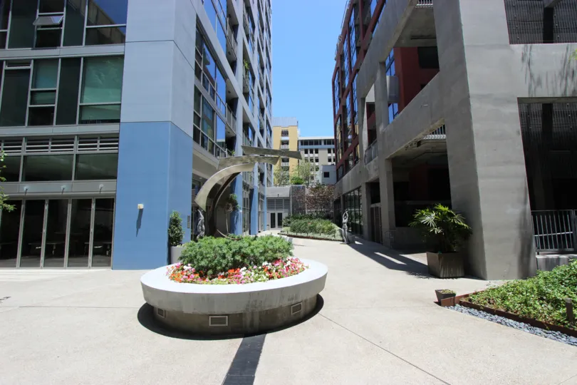 The exterior of the Icon building showing the entrance doors, blue building, and open portico with potted plants on a sunny day.