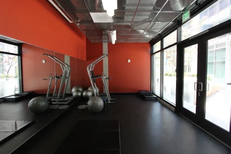 well furnished gym workout hall in icon have threat mill and balls