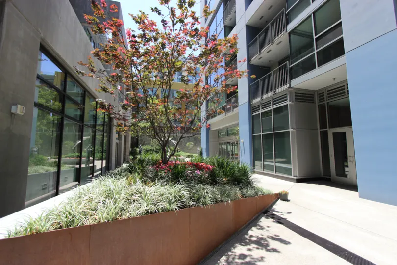 Relaxing garden courtyard in Icon, located in San Diego, CA