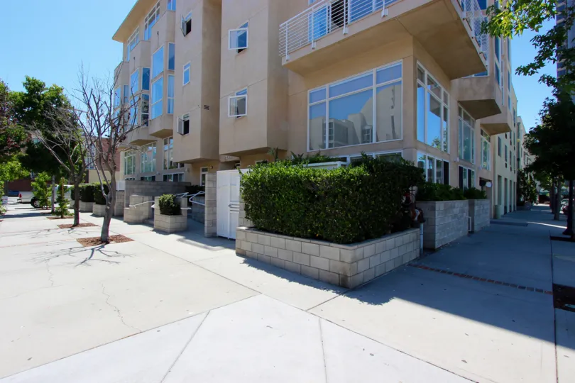 A sunny day in the Island Lofts with residential building and plants.