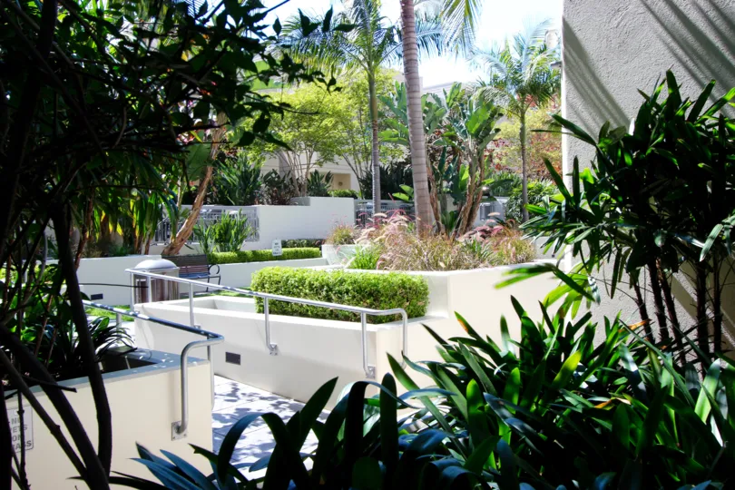 A garden in the La Vita reminding me off the national botanical garden.
