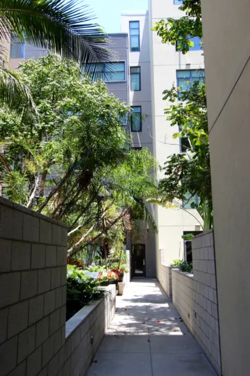 A sidewalk leading to a white building, green trees around, M2i neighborhood