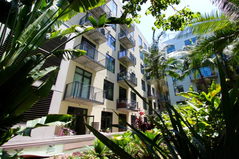 Bulding have a beautiful front view with trees and plants in M2i
