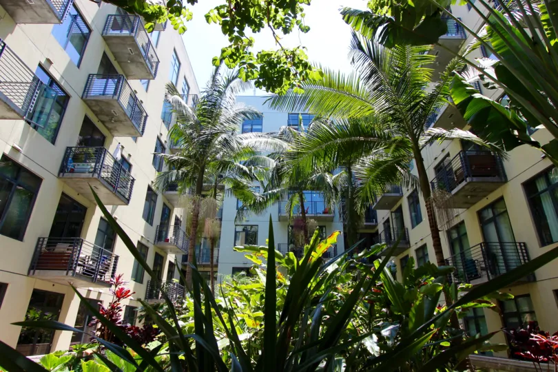 Tropical Apartment Living at M2i in Sunny San Diego