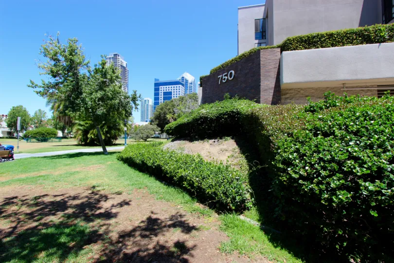 A sunny day at Marina Park in Downtown San Diego with hedges and a tree.