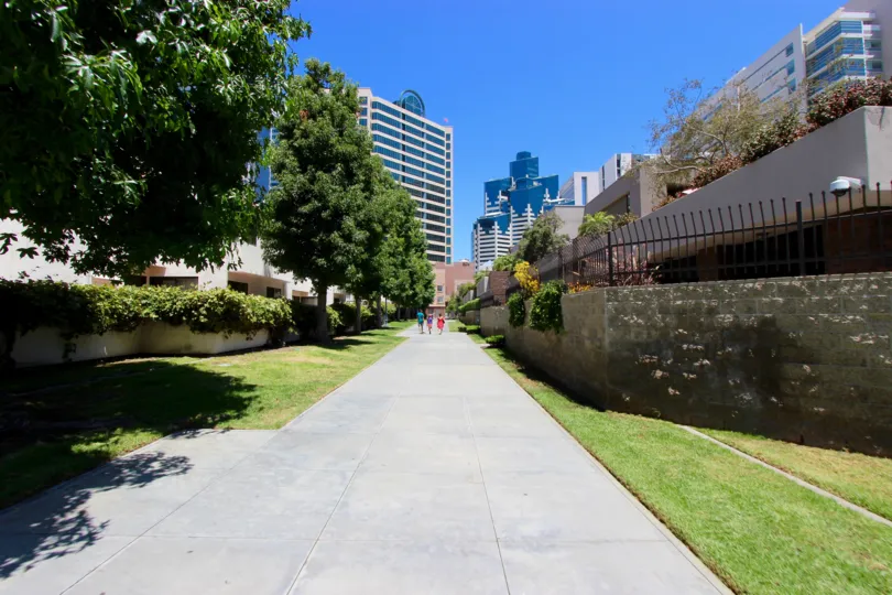 An alley with trees leading to tall buildings in Marina Park