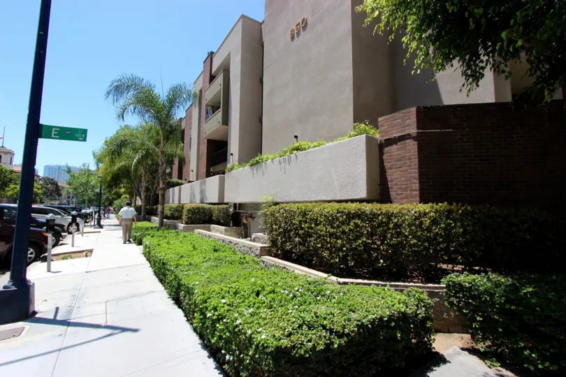 A view on a street in Marina Park, green bushes and a building