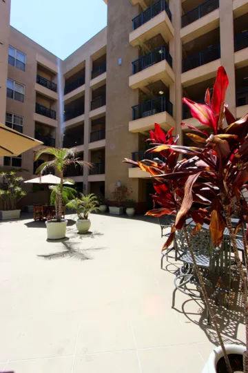 A red tropical plant sits on a patio at Pacific Terrace