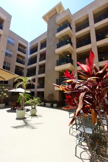 A sunny day in the area of Pacific Terrace, outdie, balcony, window, flower, roof