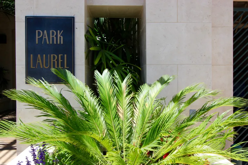 this lplace has some plantes and stone park laurel