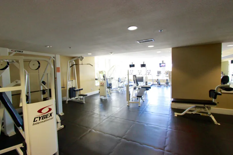 Gym facilities in Park Place with different kinds of Workout equipments