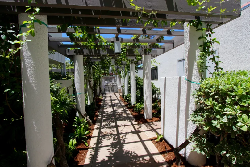 A shaded pergola walkway with vines in Park Row community in Downtown San Diego California