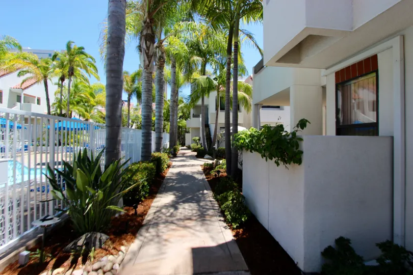 An alley in Park Row neighborhood - a white house and palm trees