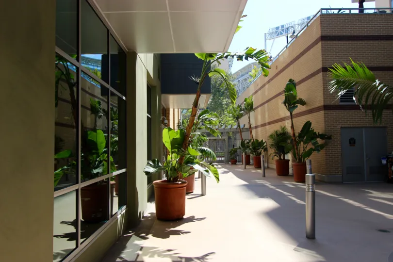 A sunny day on a park terrace in downtown San Diego California