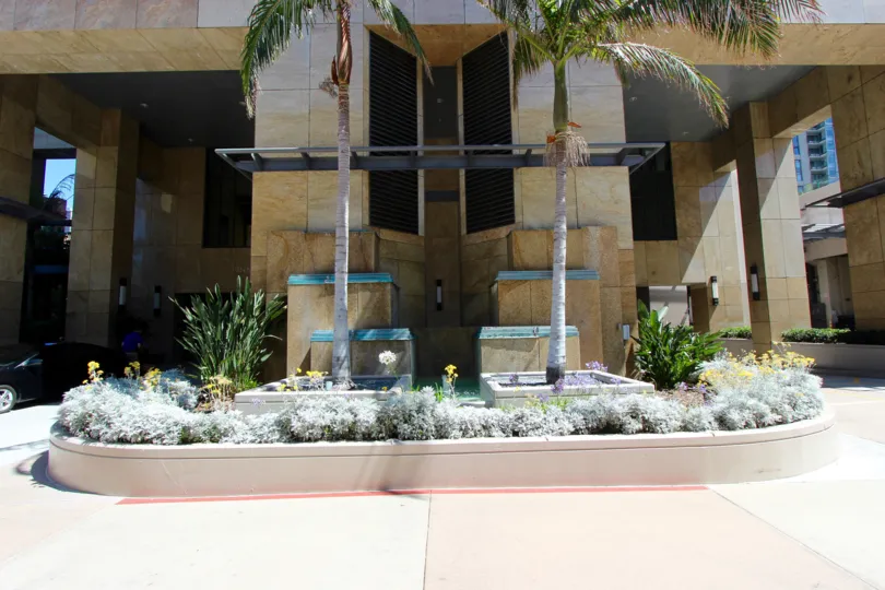 Pam tree and plant decorated in front of the building in Pinnacle