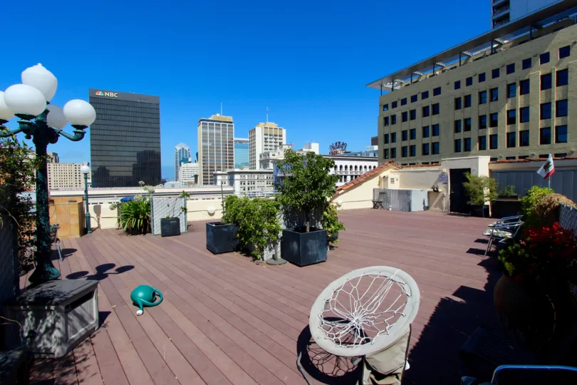 The plants on the roof at Samuel Fox Lofts