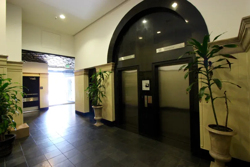 The potted plants inside of Samuel Fox Lofts