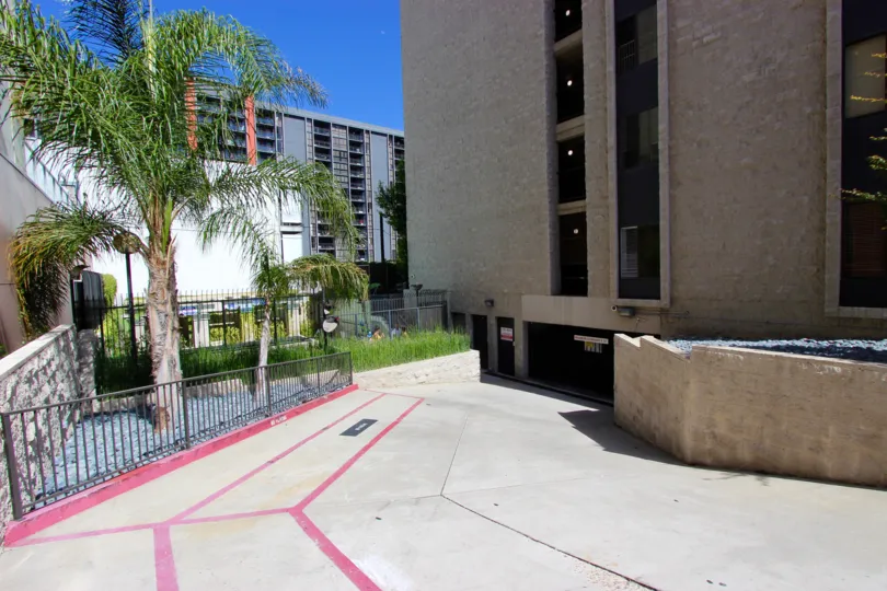 A sunny day in the area of Symphony Terrace, palm trees, fence, sidewalk, grass