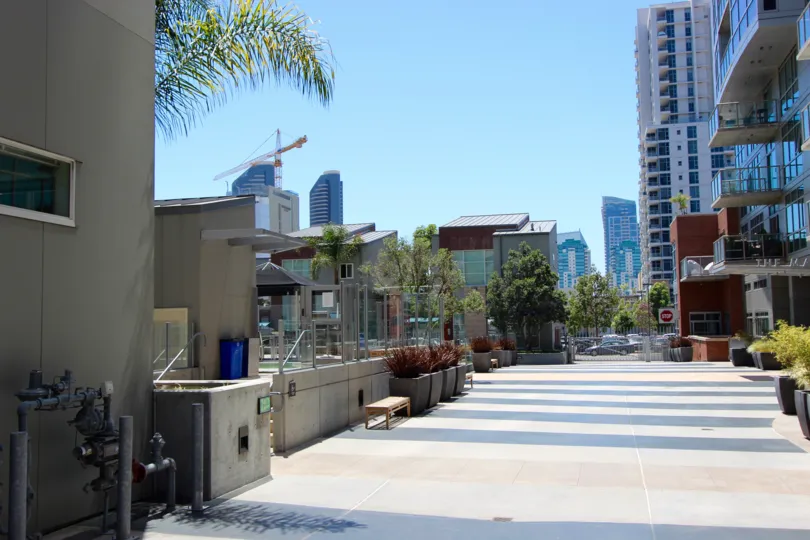 Sunny day and many buildings seen from a private yard