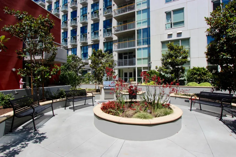 Meet friends on the patio or enjoy reading time alone at TREO.