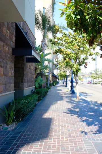 Tops of trees beside a large building in Union Square, Downtown San Diego, California.