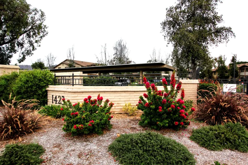 a most attractive bungalow with beautiful tree and garden comfortable climate clean way visit with with family in weekend