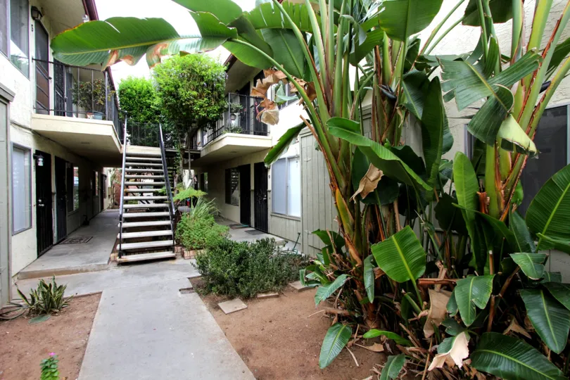 A WONDERFUL HOME COVERED WITH BEAUTIFUL TREES AND BANANA TREES