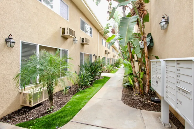 A sunny walkway next to a residence in Casa Bonita