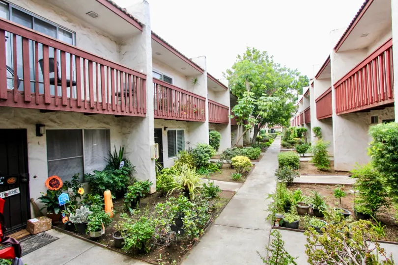 apartments, homes, garden, trees, plants, bright, sky, flowers
