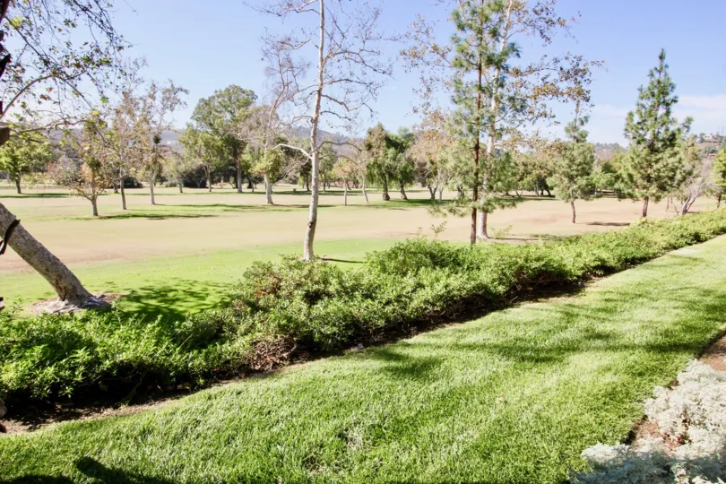 Large park with trees and grass at Fairway Villas in El Cajon California