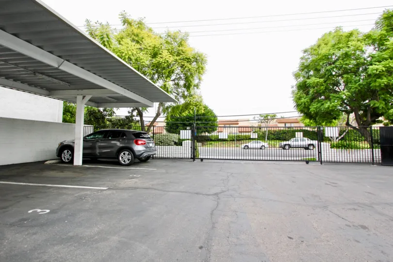 A BEAUTIFUL BIG VILLA AND A NICE CAR AND IT LOOK LIKE A HUGE ONE FOR SO MANY PERSONS