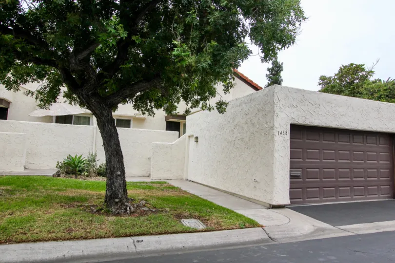 A lone tree on a lawn by the garage in Lakeridge Park of the City of El Cajon in Clifornia