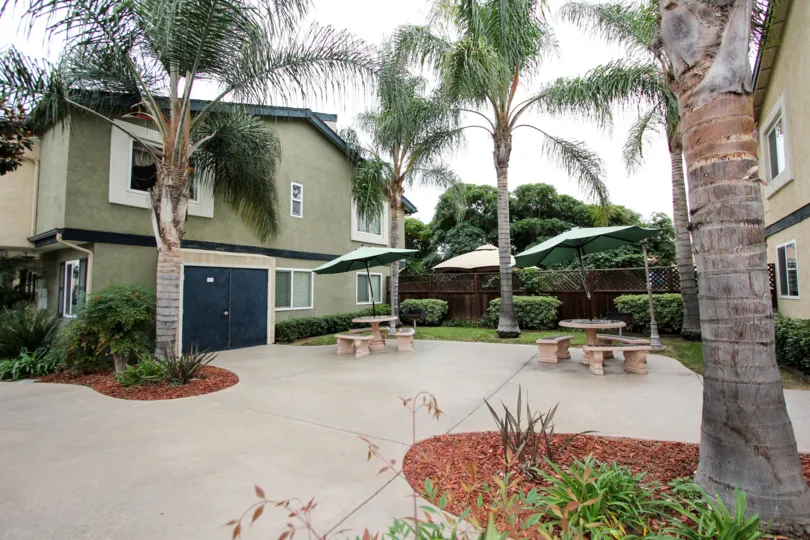 5 cocount tree 3 sitting chair black gate window greese small plants flowers 3umberlla compound