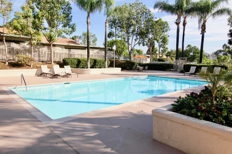 A sunny day in Mirasol with green and beautiful trees, cool swimming pool.