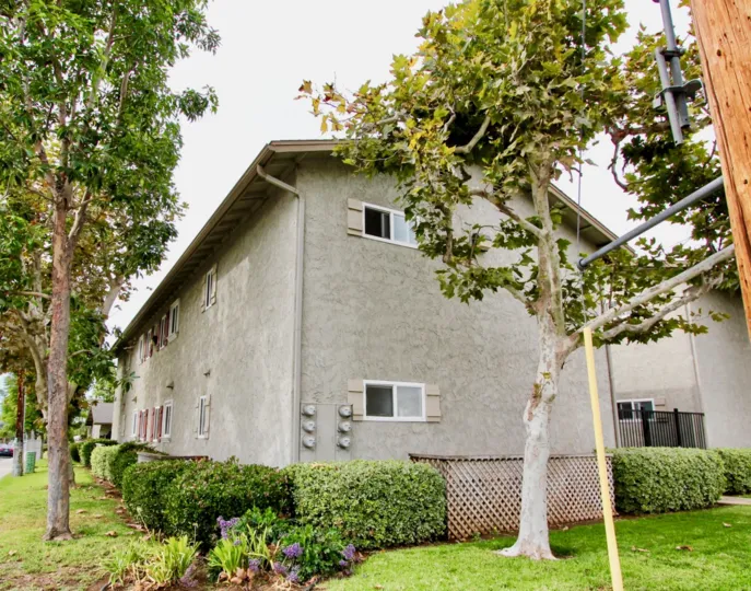 home enterance and backside windows grees many trees pipe lights wire black gate violet flower