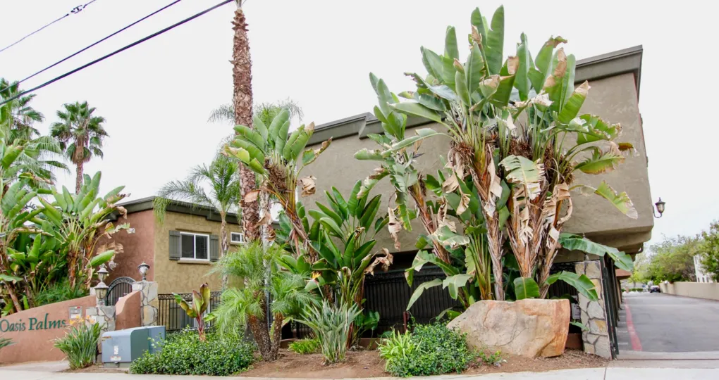 Palms in fron of Oasis Palms in El Cajon, California