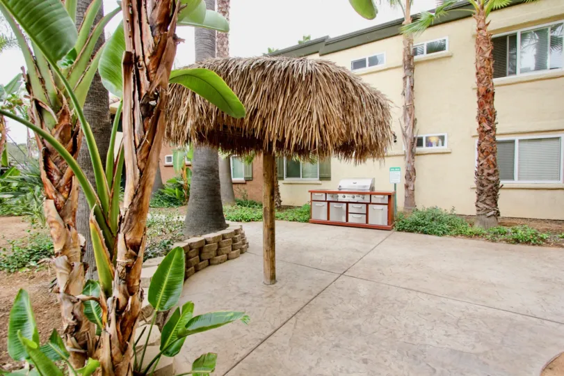 banana tree cocount tree window pipe road grese washing machine white window garden flower iron window