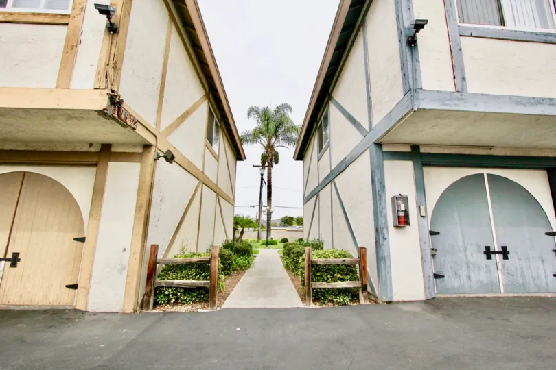 A path between two houses and a palm tree in the back at Sagewood Estates neighborhood, El Cajon, CA