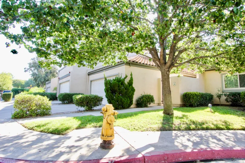 A yellow reconciling in front of a house with a tree in Sunshine Shadows