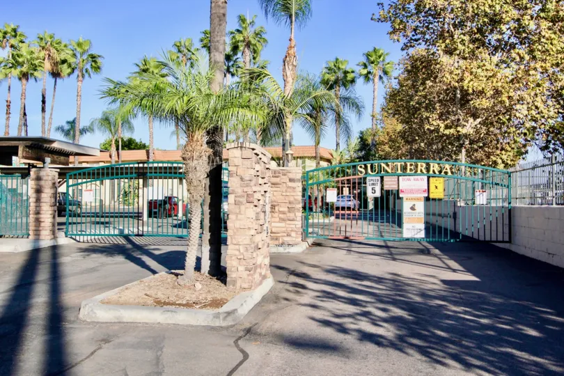 Entrance gate view with huge palm trees backdrop of Sunterra.