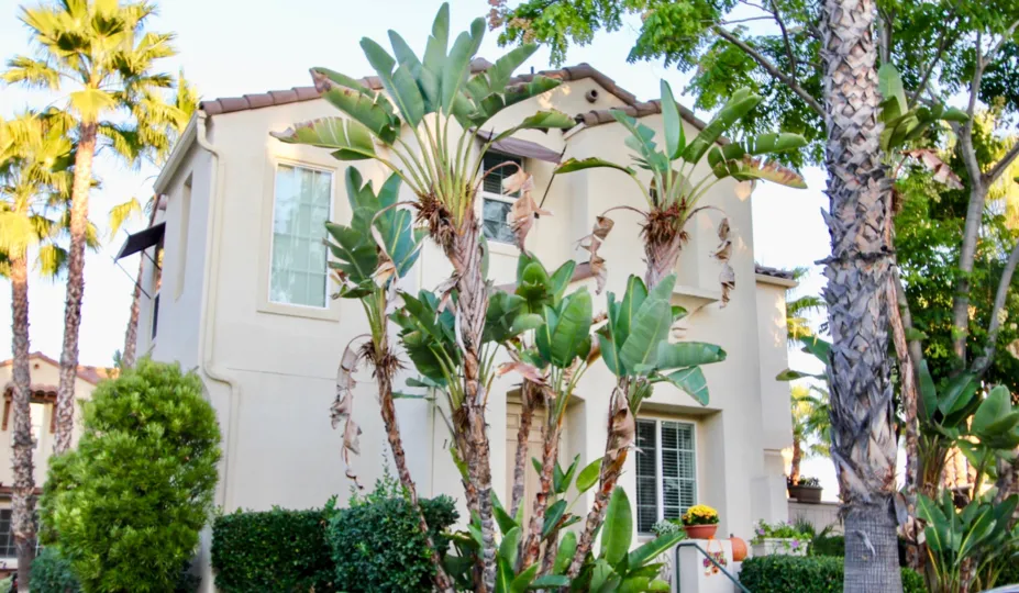 small and beautiful most attractive house with beautiful tree with comfortable climate visit with family in weekend