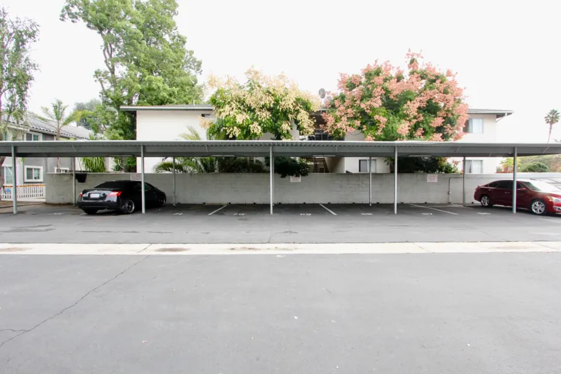 A BEAUTIFUL BIG VILLA AND A NICE CAR AND IT LOOK LIKE A HUGE ONE FOR SO MANY PERSONS