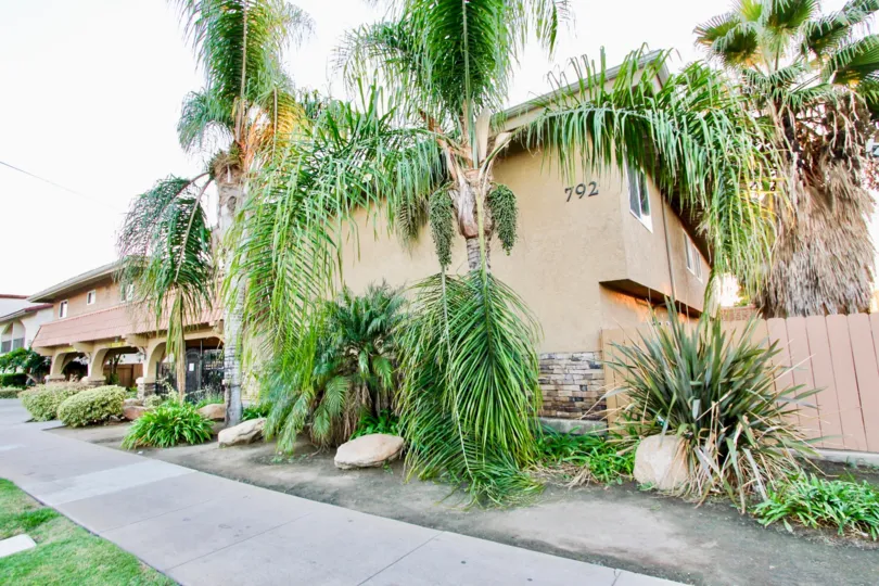a most attractive bungalow with beautiful tree and garden comfortable climate clean way visit with with family in weekend