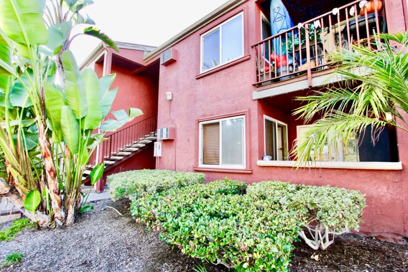 A banana tree in the Vista Del Sol giving apartment good vibrant environment.