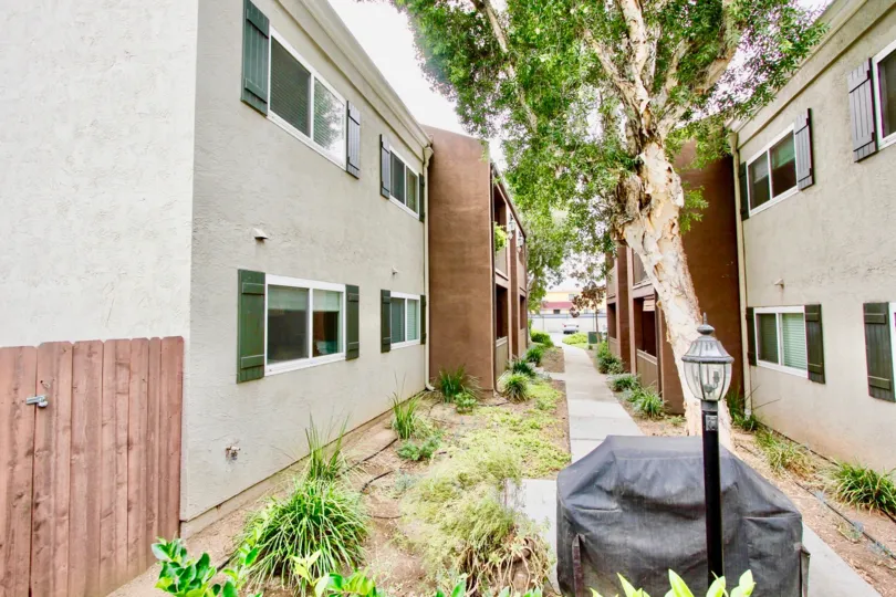 A day in Windosr Terrace has side view of apartments with lamb and bushes