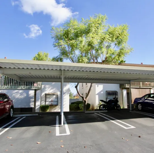 A parking lot with a tall tree behind it in Bernardo Hills neighborhood