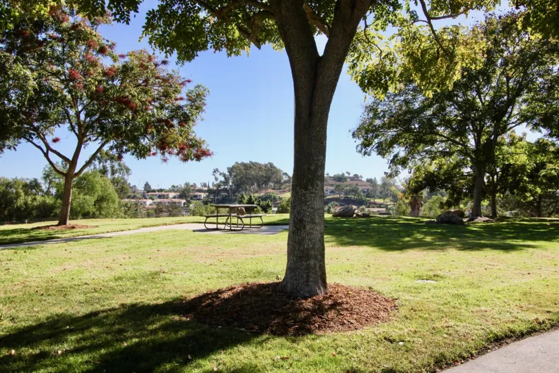 Picnic table at lush green park surrounded by trees at Escondido Country Club Terrace in Escondido California