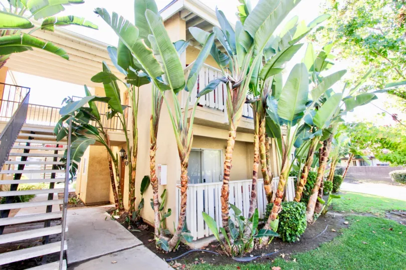Hampton Place , Escondido ,: California,stair case, banana trees
