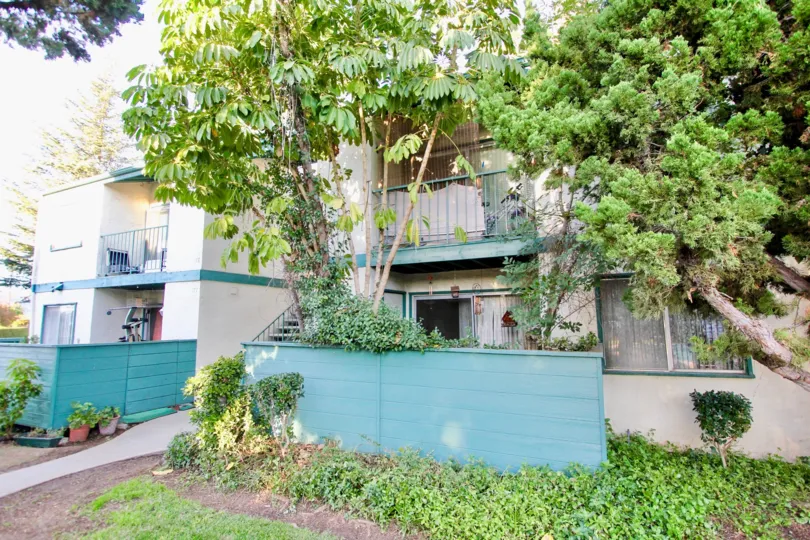 there is a couple of trees that are just outside the balcony of an apartment