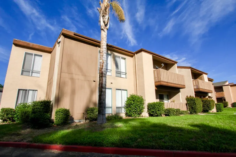A beautiful day outside an apartment complex in Rock springs west with a palm tree